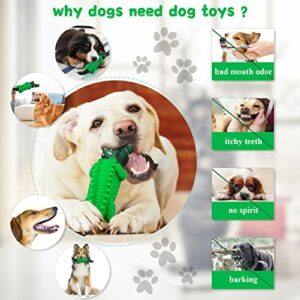 Dog Chew Toys for Aggressive Chewers