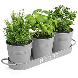 Barnyard Designs Indoor Herb Garden Planter Set with Tray, Metal Windowsill Plant Pots with Drainage for Outdoor or Indoor Plants, Grey, Set/3