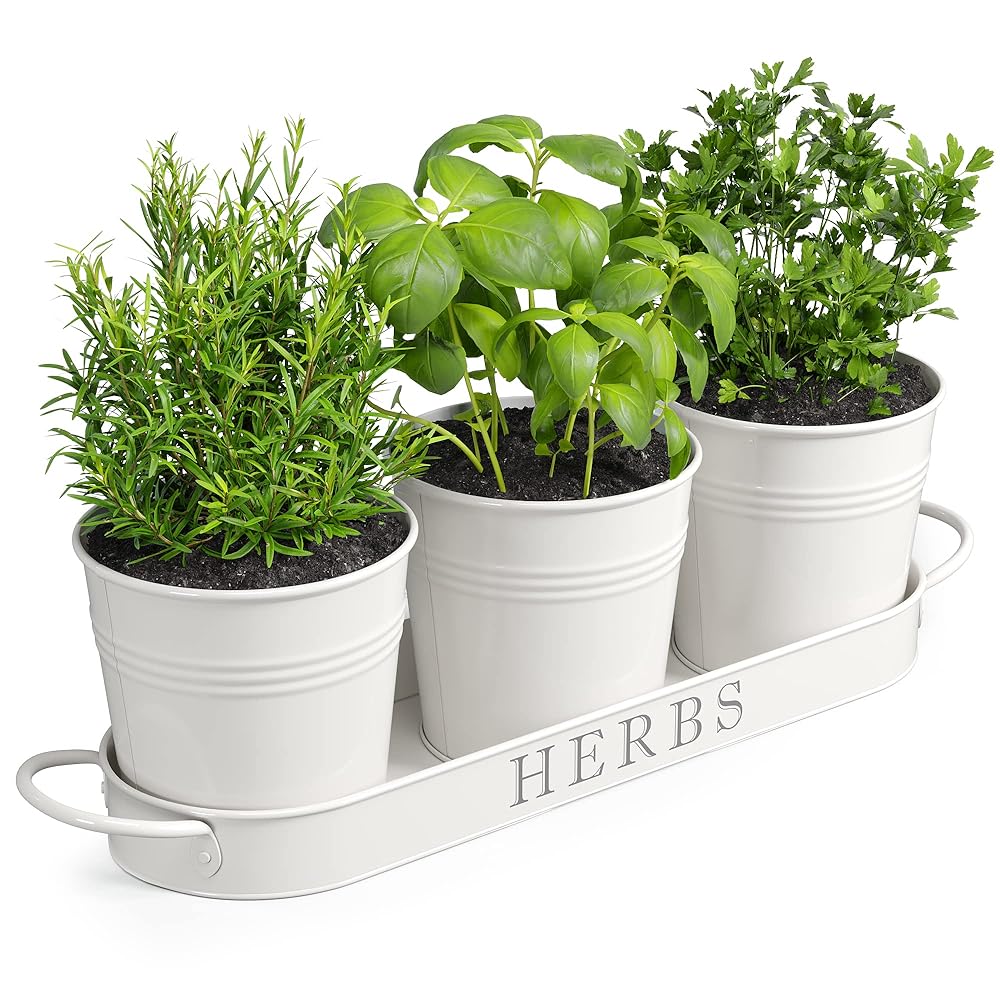 Barnyard Designs Indoor Herb Garden Planter Set with Tray, Metal Windowsill Plant Pots with Drainage for Outdoor or Indoor Plants, White, Set/3